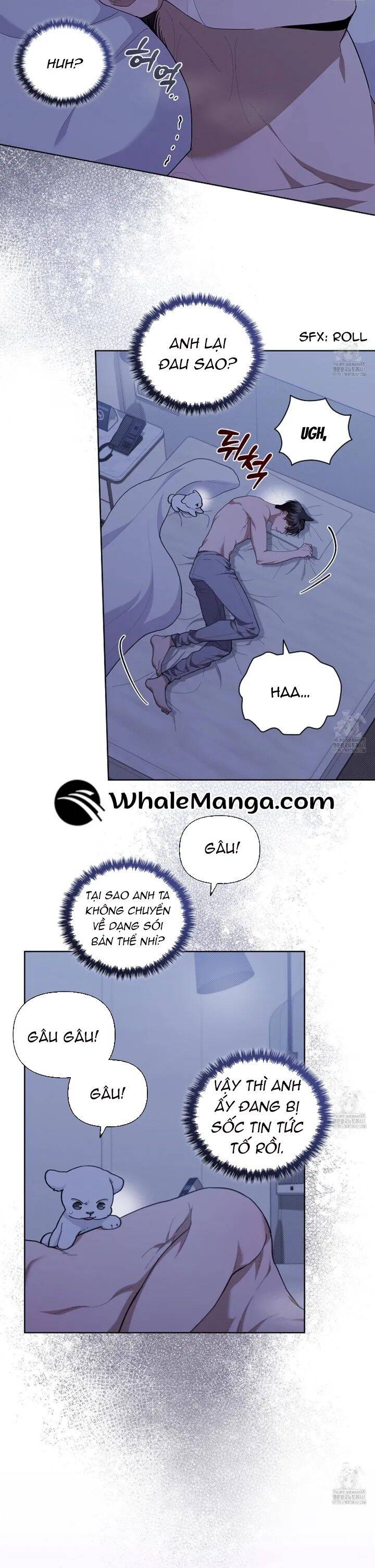 Đừng Đùa Với Cún Con: Chapter 12