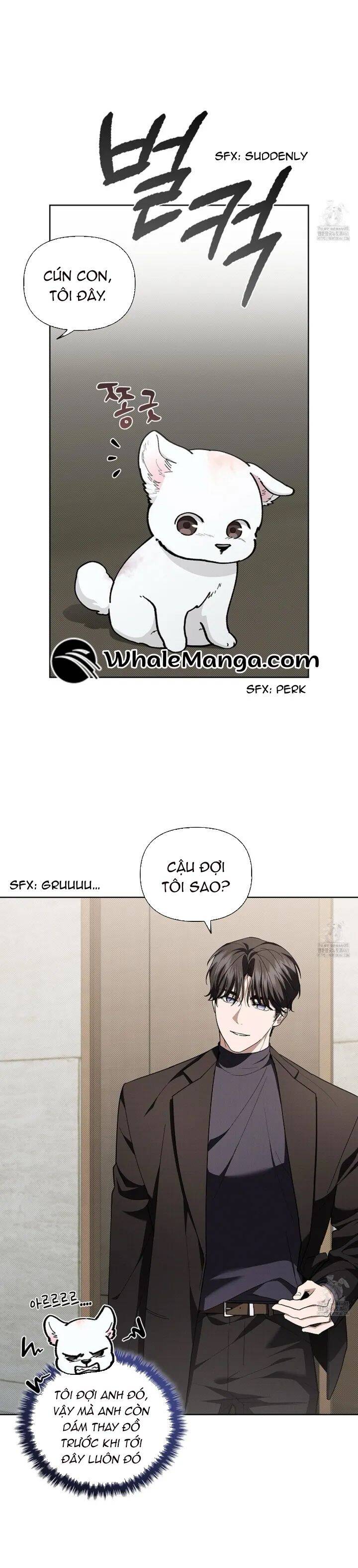 Đừng Đùa Với Cún Con: Chapter 12