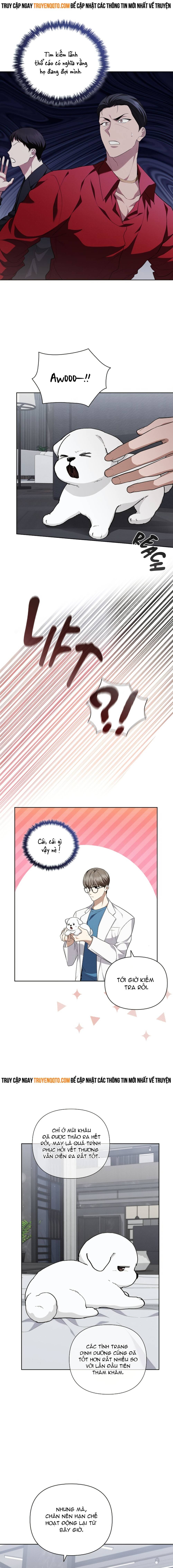 Đừng Đùa Với Cún Con: Chapter 13