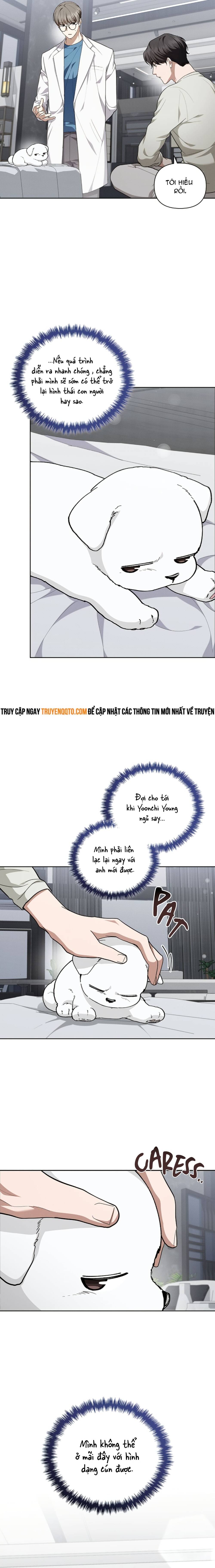 Đừng Đùa Với Cún Con: Chapter 13