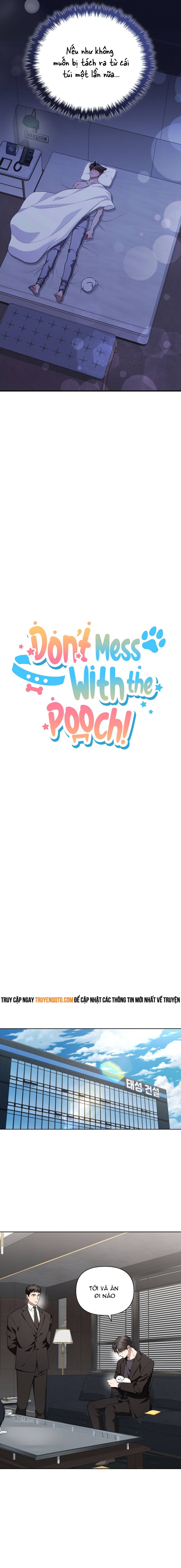 Đừng Đùa Với Cún Con: Chapter 13