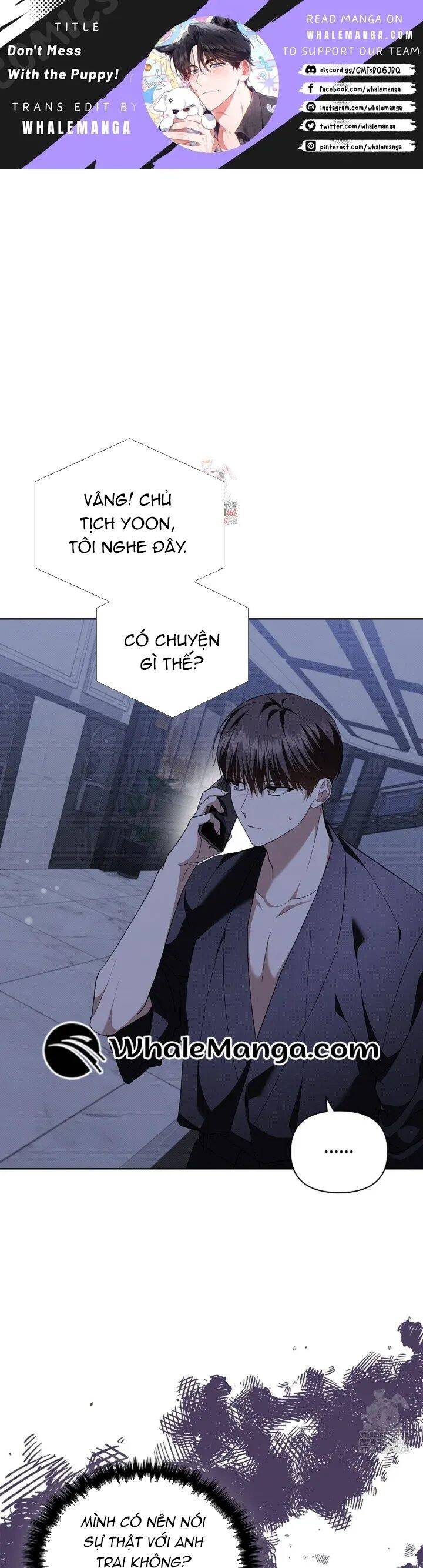 Đừng Đùa Với Cún Con: Chapter 14