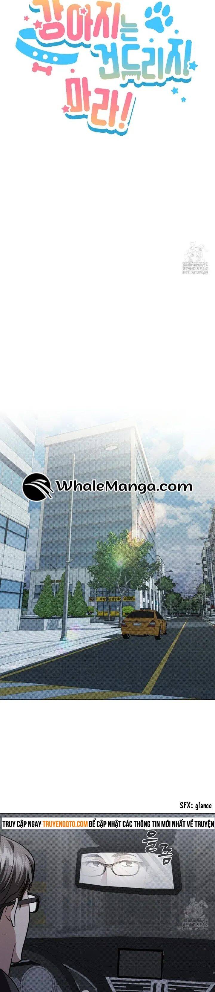 Đừng Đùa Với Cún Con: Chapter 14