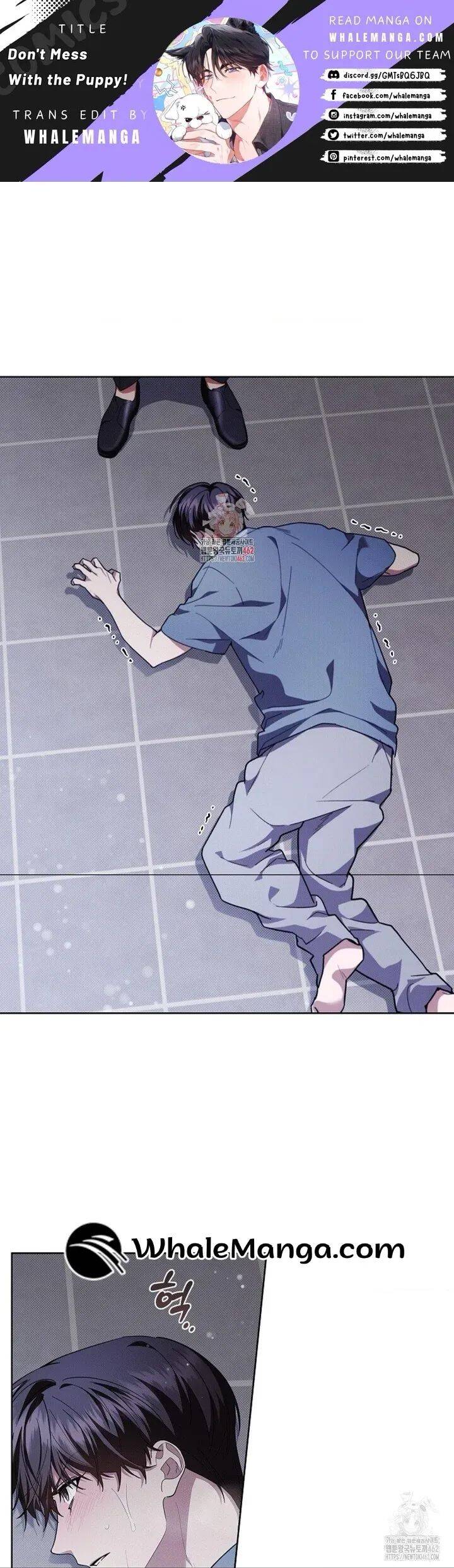 Đừng Đùa Với Cún Con: Chapter 15