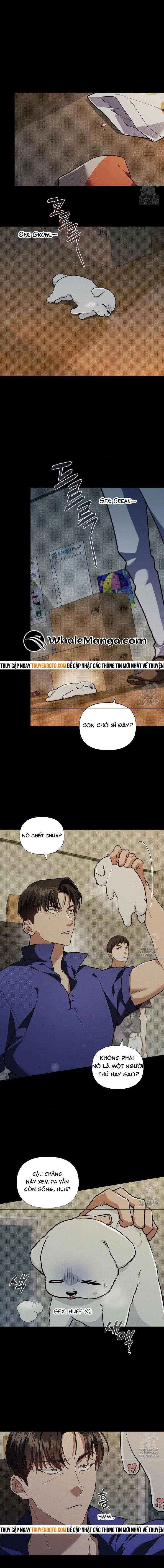 Đừng Đùa Với Cún Con: Chapter 16