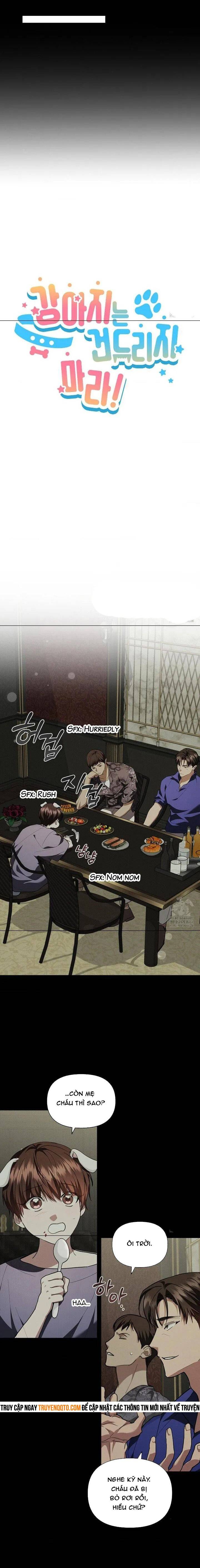 Đừng Đùa Với Cún Con: Chapter 16