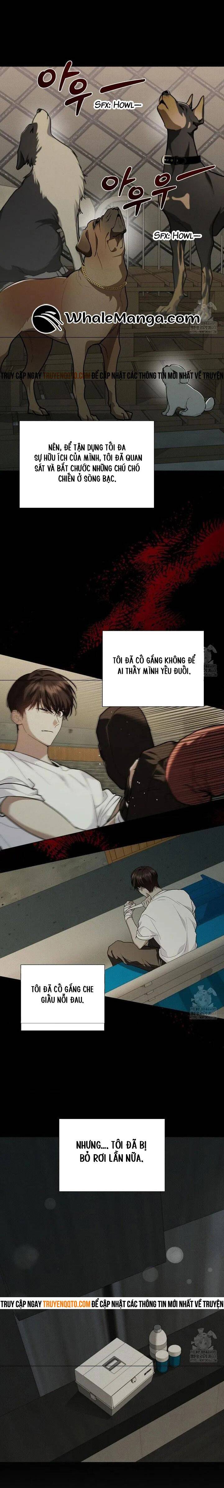 Đừng Đùa Với Cún Con: Chapter 16