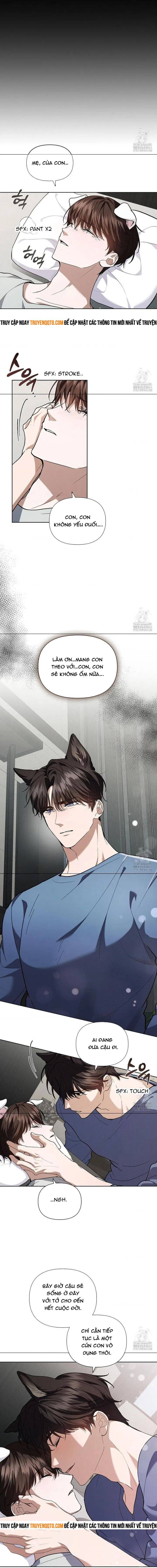 Đừng Đùa Với Cún Con: Chapter 16