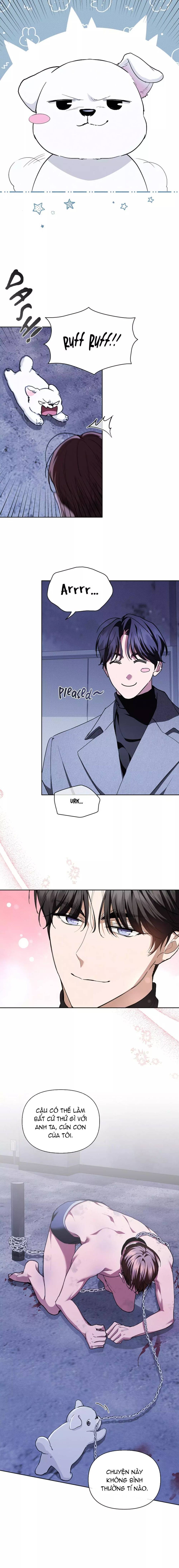 Đừng Đùa Với Cún Con: Chapter 17