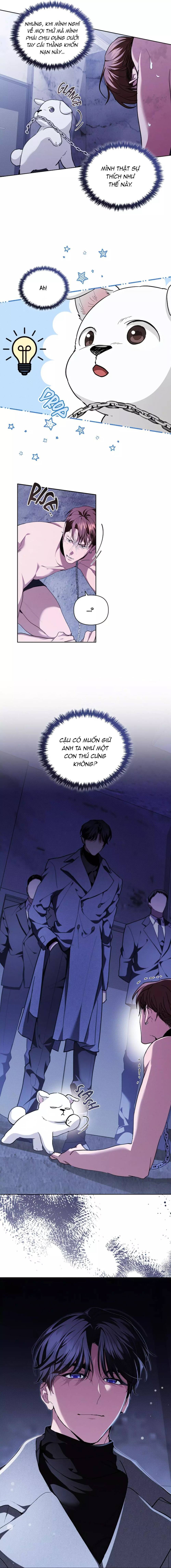 Đừng Đùa Với Cún Con: Chapter 17