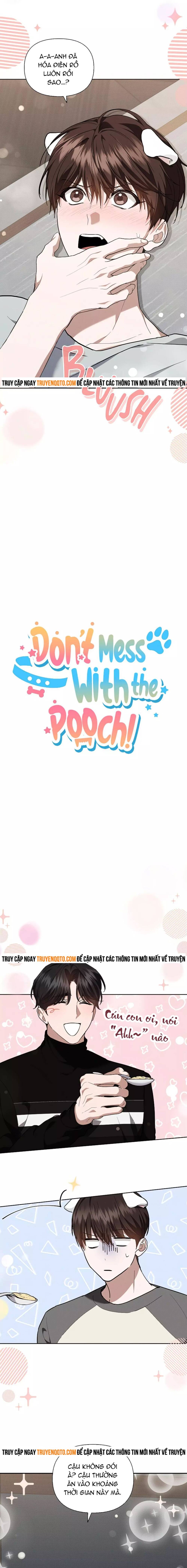 Đừng Đùa Với Cún Con: Chapter 17