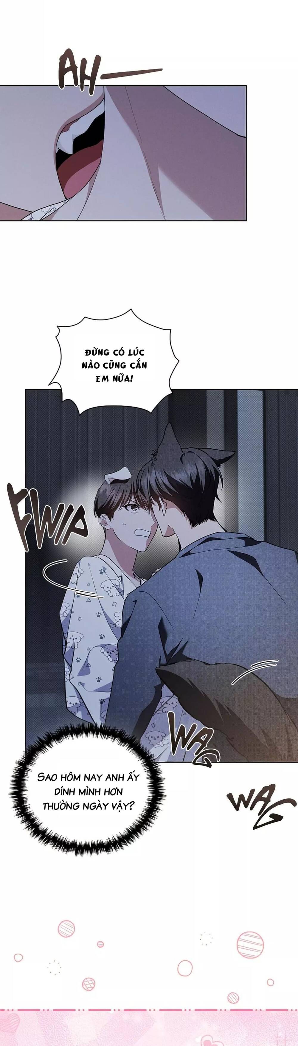 Đừng Đùa Với Cún Con: Chapter 18