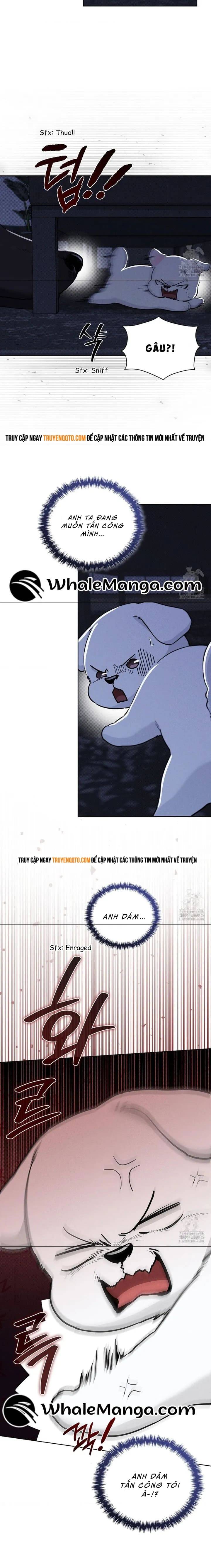 Đừng Đùa Với Cún Con: Chapter 19