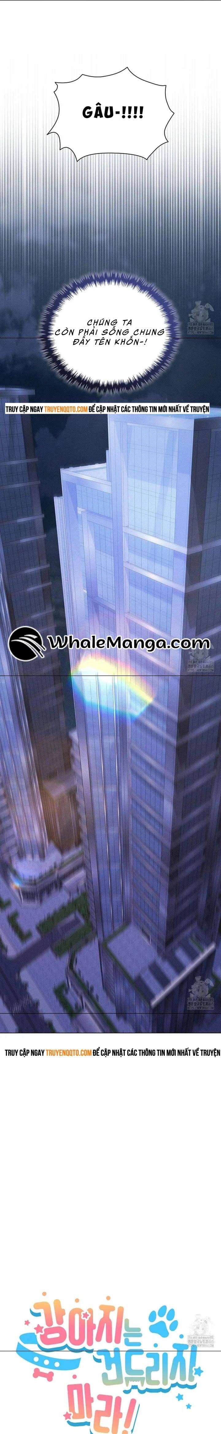 Đừng Đùa Với Cún Con: Chapter 19