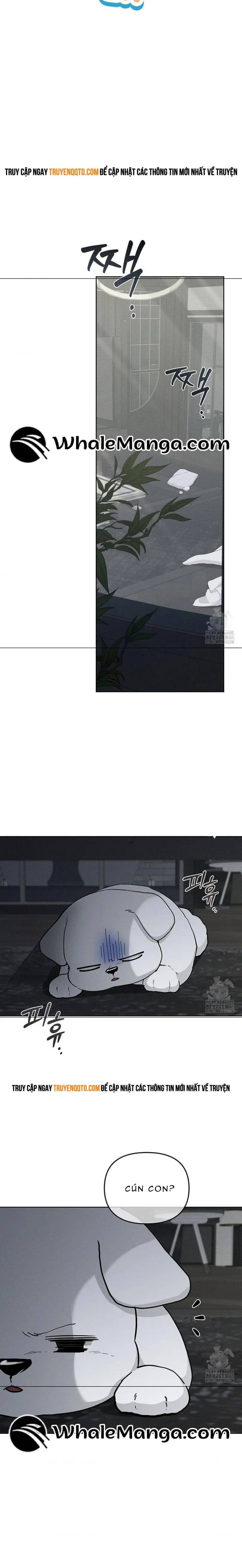 Đừng Đùa Với Cún Con: Chapter 19