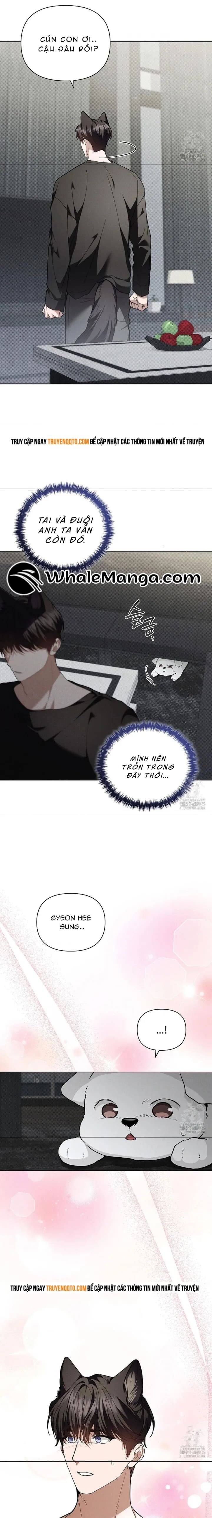 Đừng Đùa Với Cún Con: Chapter 19