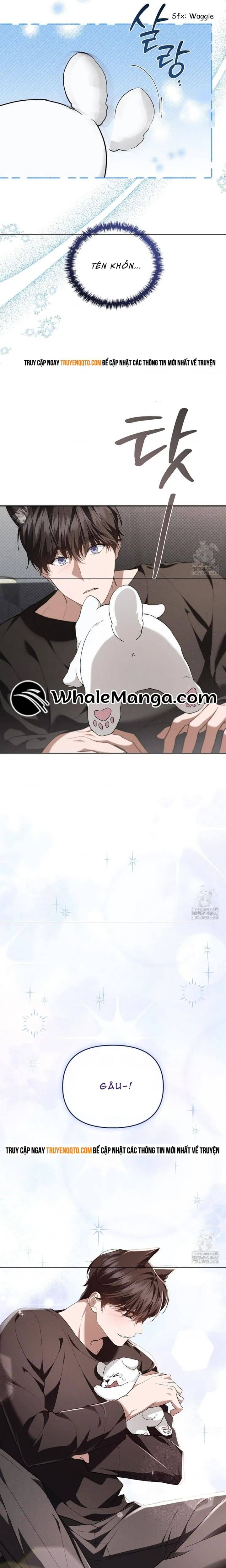 Đừng Đùa Với Cún Con: Chapter 19