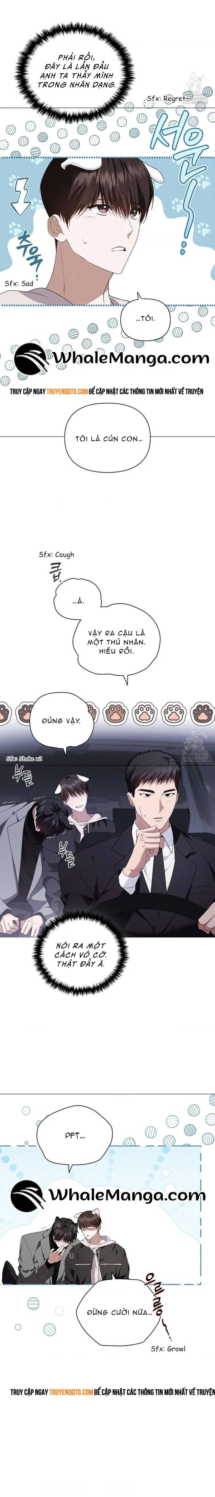 Đừng Đùa Với Cún Con: Chapter 19