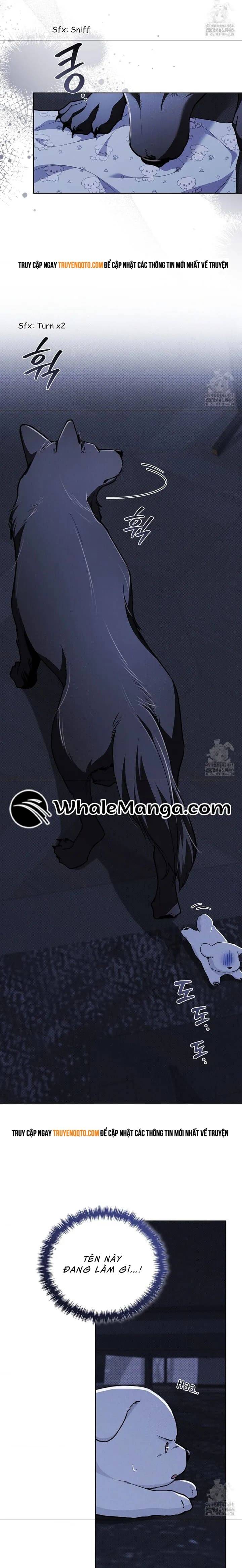 Đừng Đùa Với Cún Con: Chapter 19