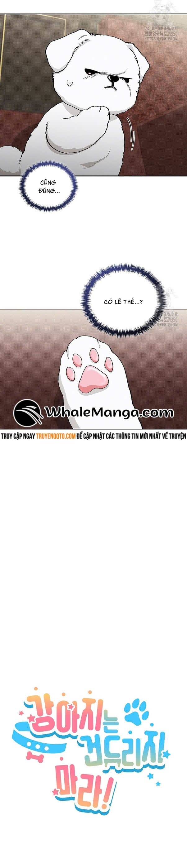 Đừng Đùa Với Cún Con: Chapter 2