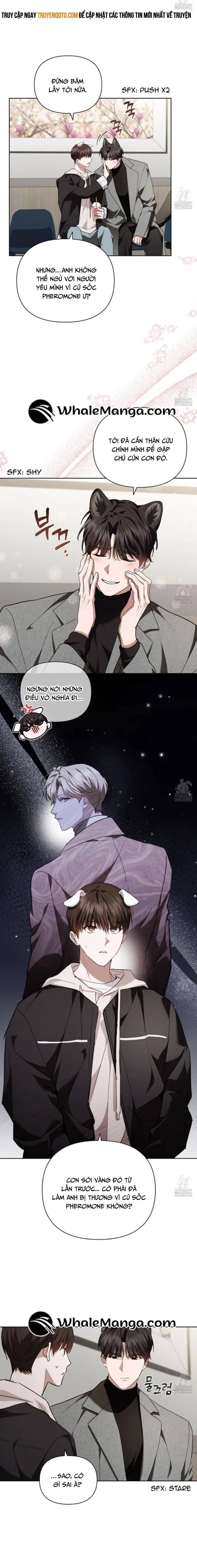 Đừng Đùa Với Cún Con: Chapter 20