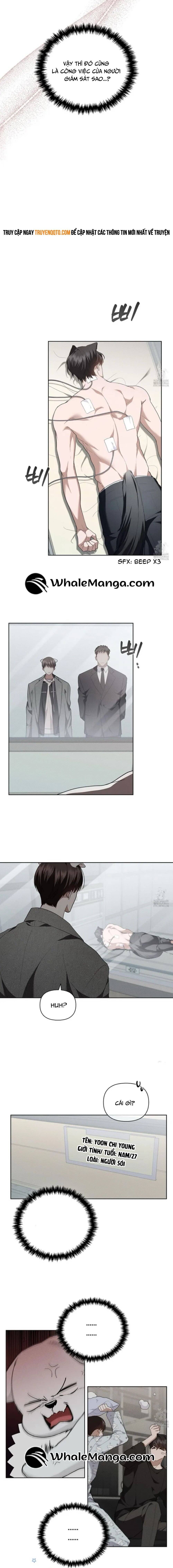 Đừng Đùa Với Cún Con: Chapter 20