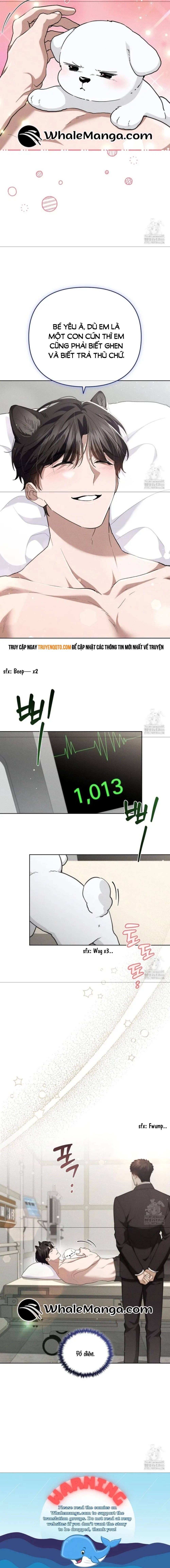 Đừng Đùa Với Cún Con: Chapter 21