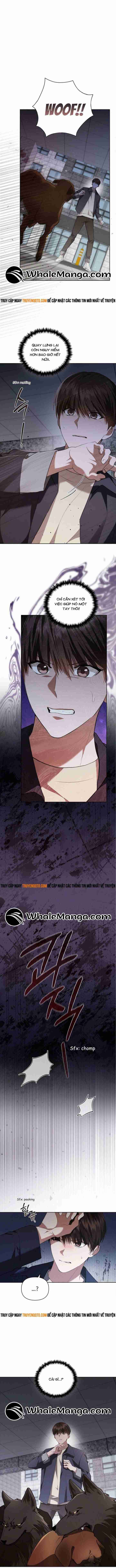 Đừng Đùa Với Cún Con: Chapter 24