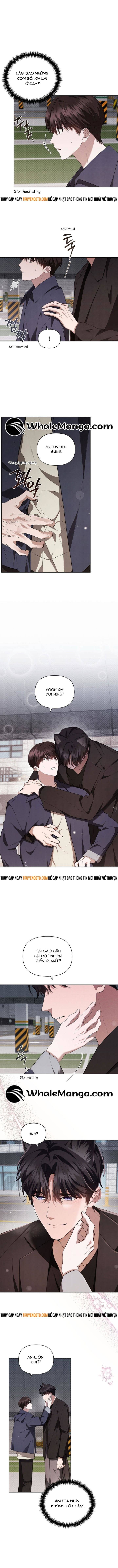 Đừng Đùa Với Cún Con: Chapter 24