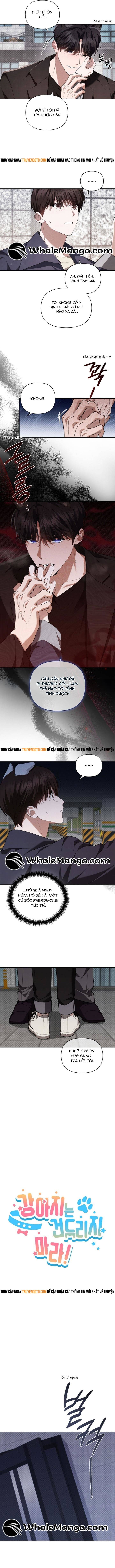 Đừng Đùa Với Cún Con: Chapter 24