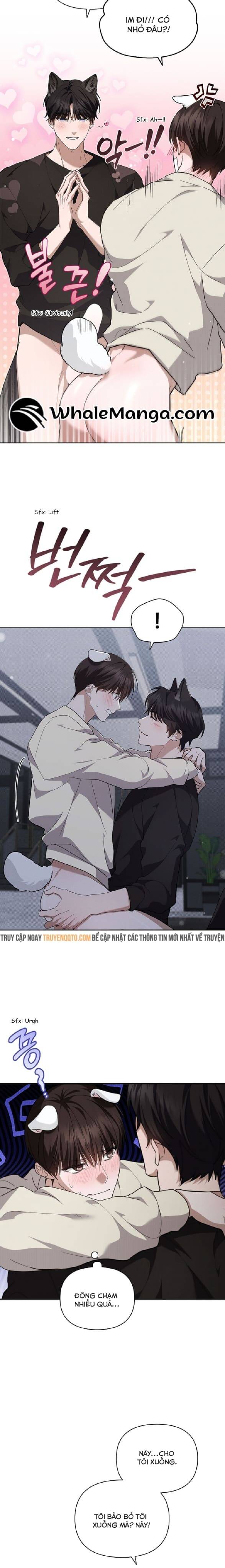 Đừng Đùa Với Cún Con: Chapter 25