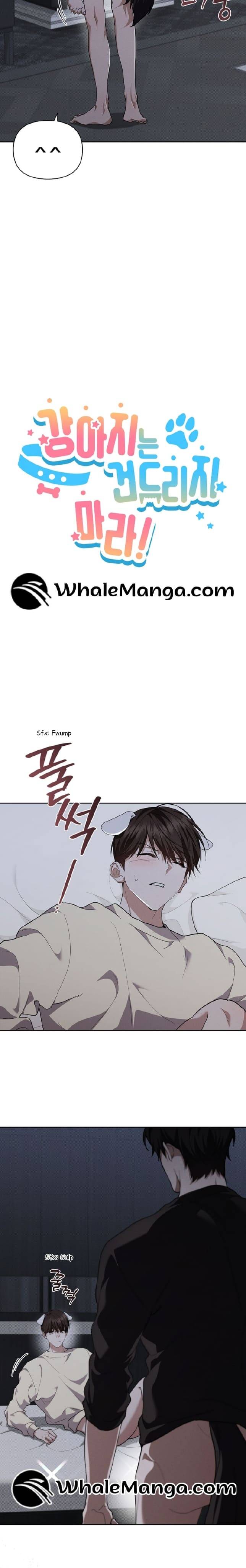 Đừng Đùa Với Cún Con: Chapter 25