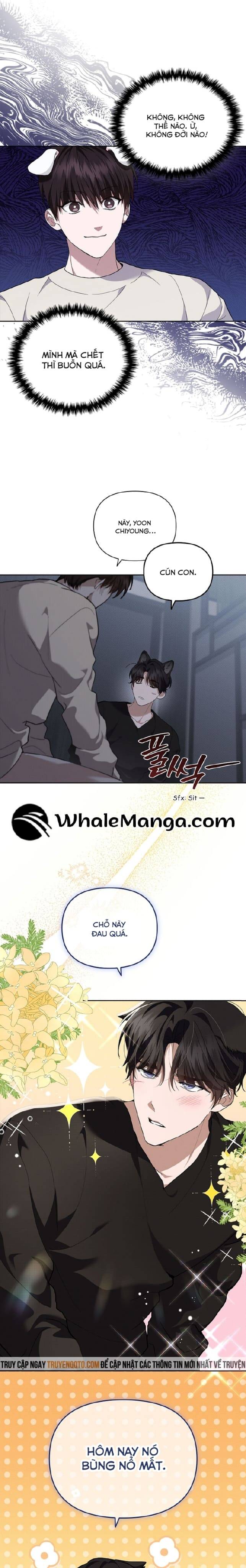 Đừng Đùa Với Cún Con: Chapter 25