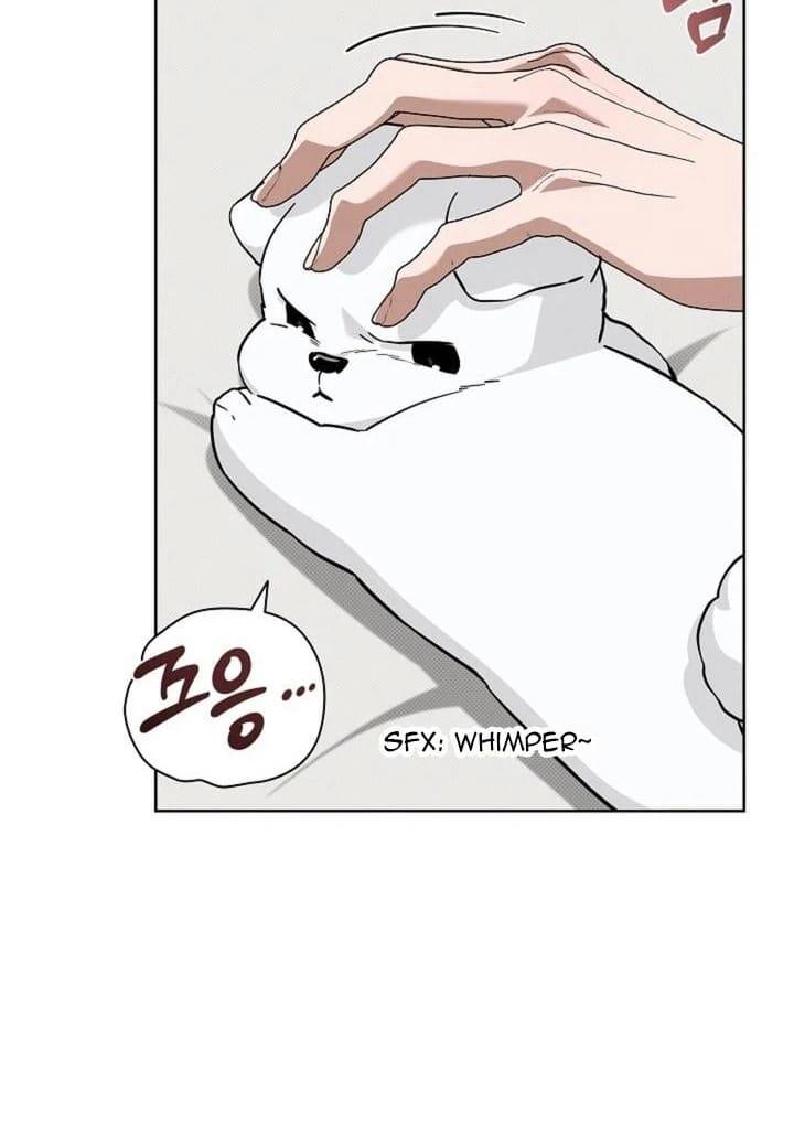 Đừng Đùa Với Cún Con: Chapter 26