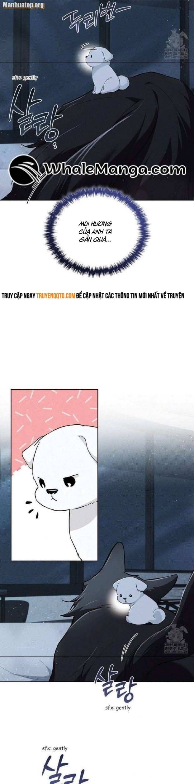 Đừng Đùa Với Cún Con: Chapter 27