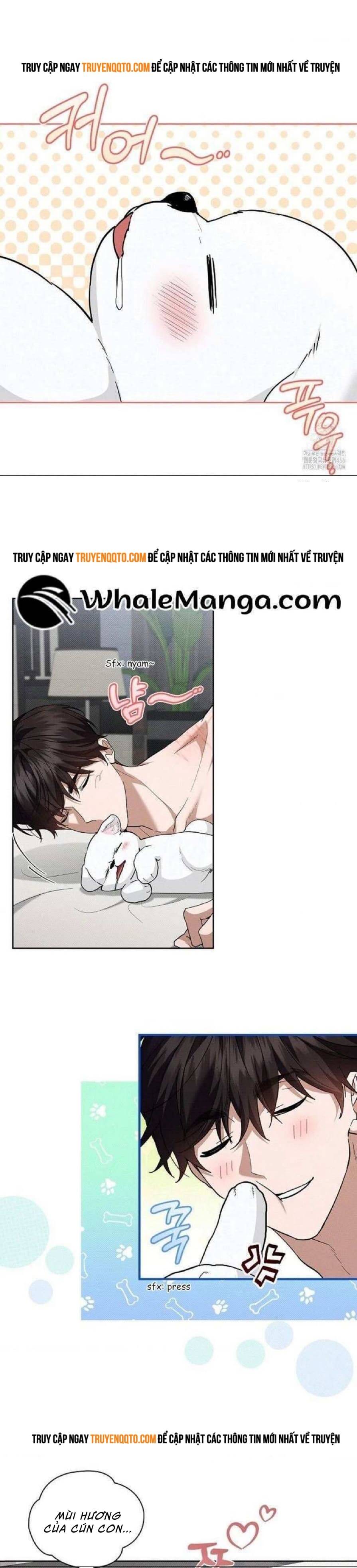 Đừng Đùa Với Cún Con: Chapter 27