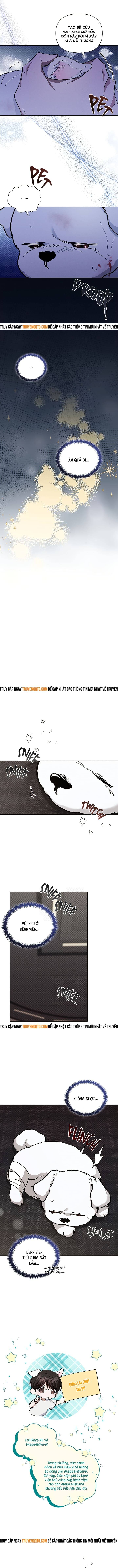 Đừng Đùa Với Cún Con: Chapter 3