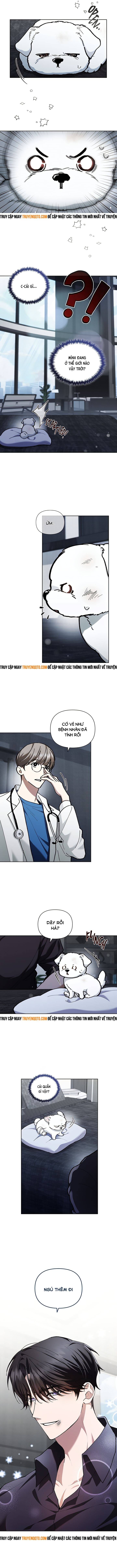 Đừng Đùa Với Cún Con: Chapter 3