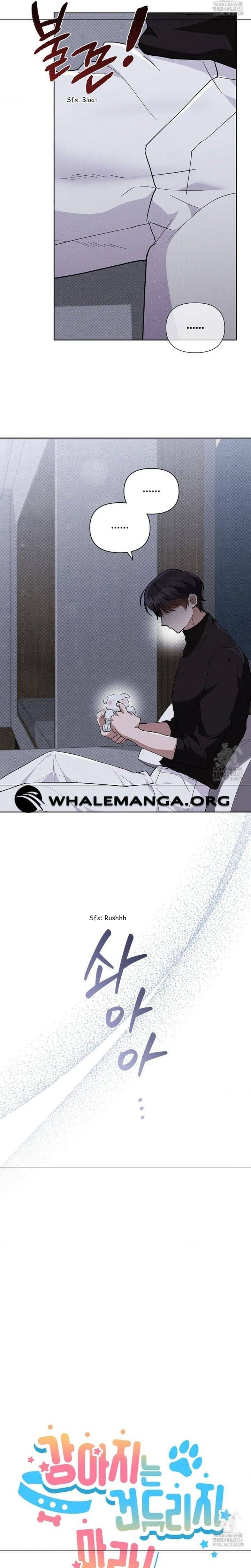 Đừng Đùa Với Cún Con: Chapter 31