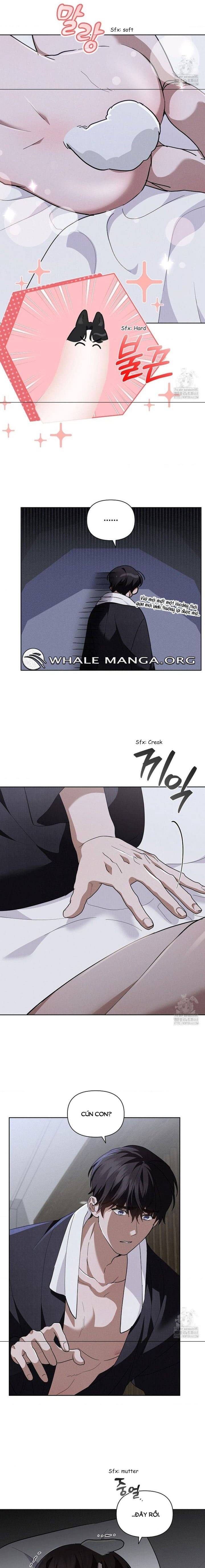 Đừng Đùa Với Cún Con: Chapter 31