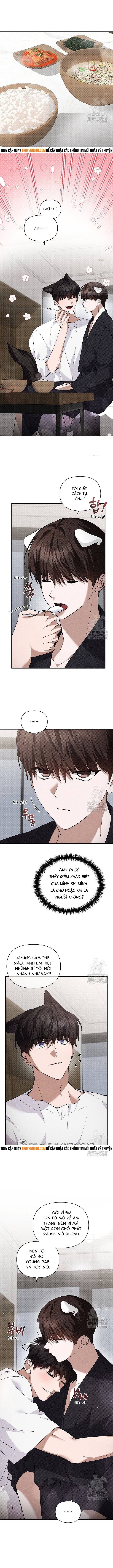 Đừng Đùa Với Cún Con: Chapter 32