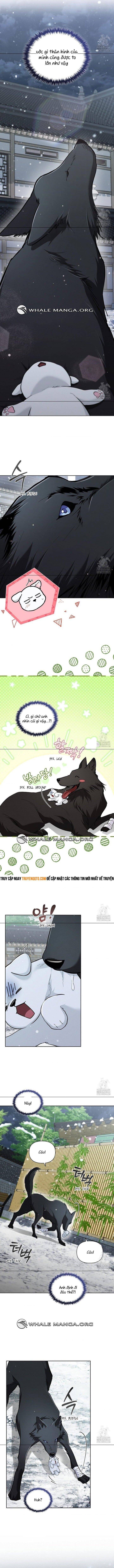 Đừng Đùa Với Cún Con: Chapter 34