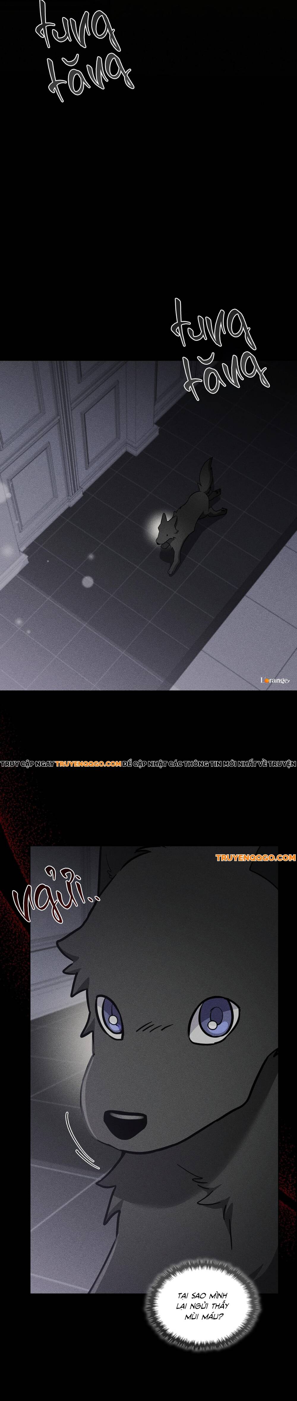 Đừng Đùa Với Cún Con: Chapter 38