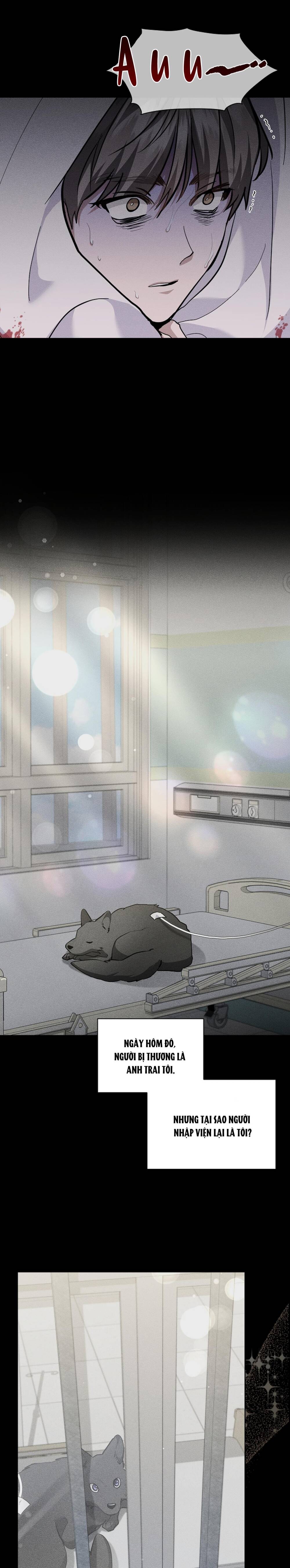 Đừng Đùa Với Cún Con: Chapter 38