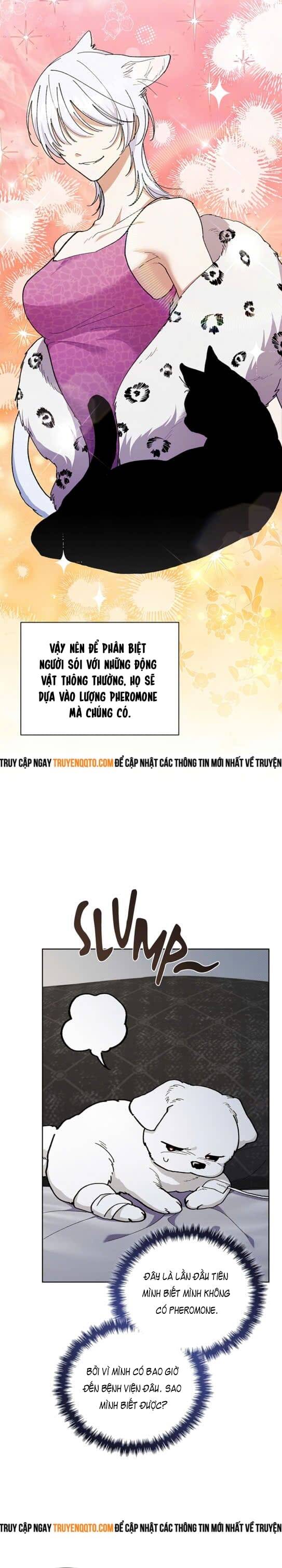 Đừng Đùa Với Cún Con: Chapter 4