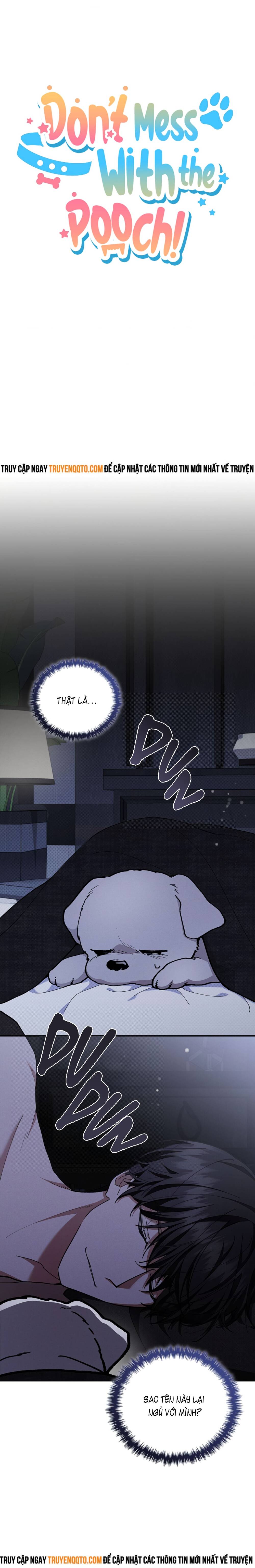 Đừng Đùa Với Cún Con: Chapter 4