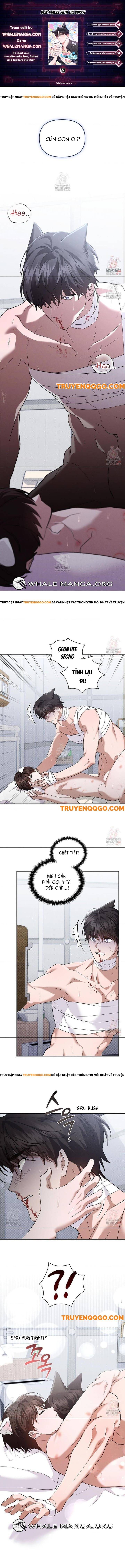 Đừng Đùa Với Cún Con: Chapter 43