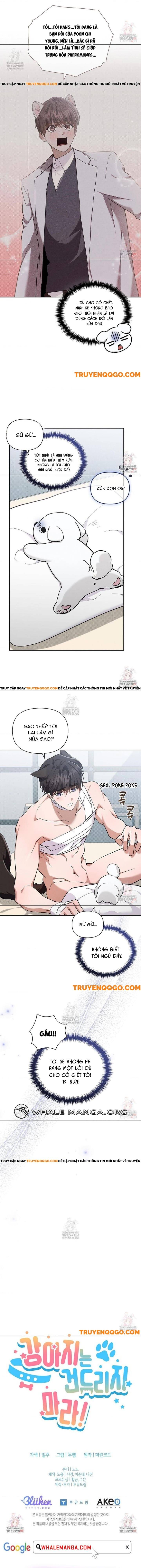 Đừng Đùa Với Cún Con: Chapter 43
