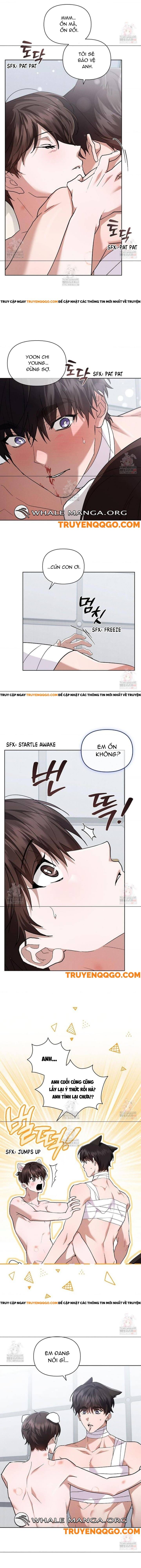 Đừng Đùa Với Cún Con: Chapter 43