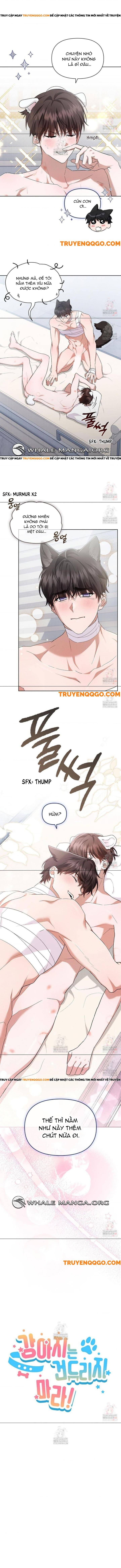 Đừng Đùa Với Cún Con: Chapter 43